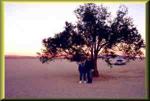 Reconstructed Tree Prop on Coyote Dry Lake.